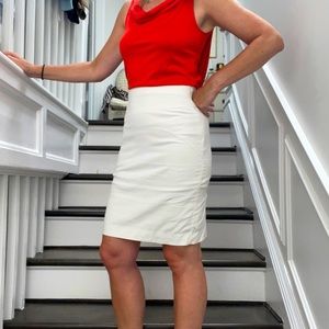 Club Monaco skirt